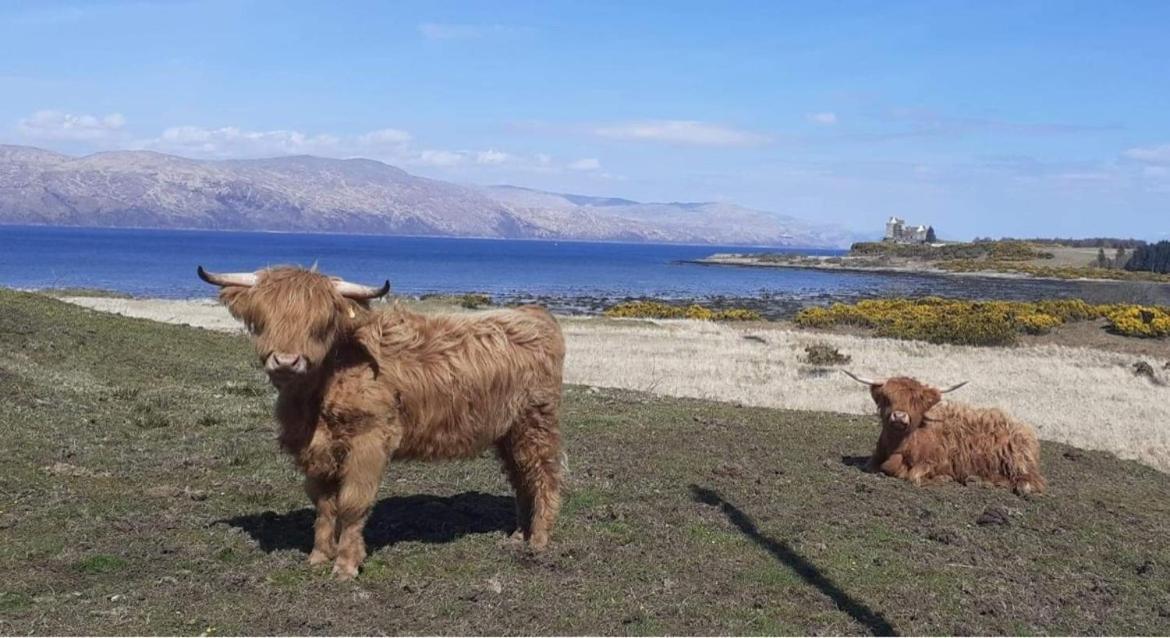 Ard Na Mara Self Catering Isle Of Mull Villa Dervaig Eksteriør bilde